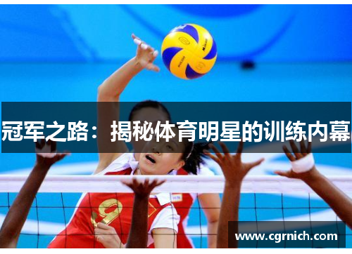 冠军之路：揭秘体育明星的训练内幕
